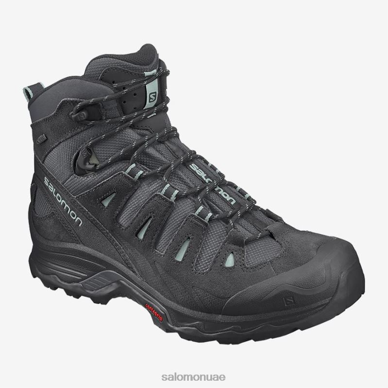 8DLD22333 Salomon أسود/فانتوم XA Pro 3D V8 Gore-tex فانتوم أسود للنساء